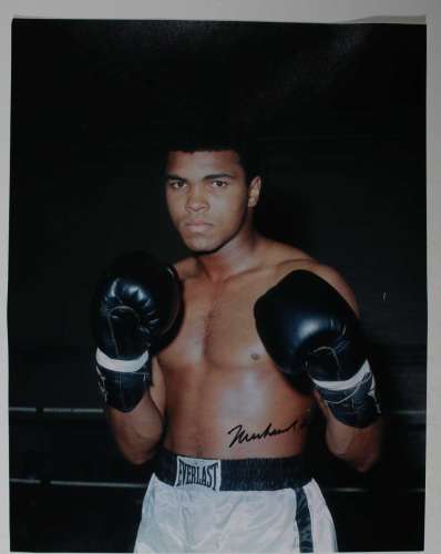 Muhammad Ali Autographed 11x14 Photo - Awesome!